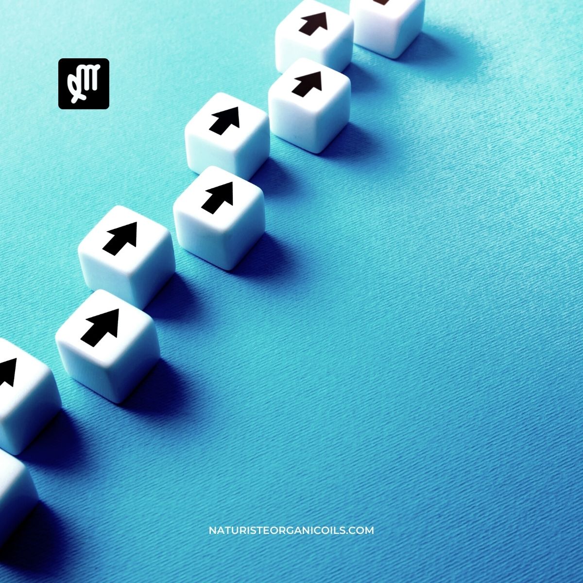 Your Hair Journey: Dedication, Patience, and Consistency in Hair Care 