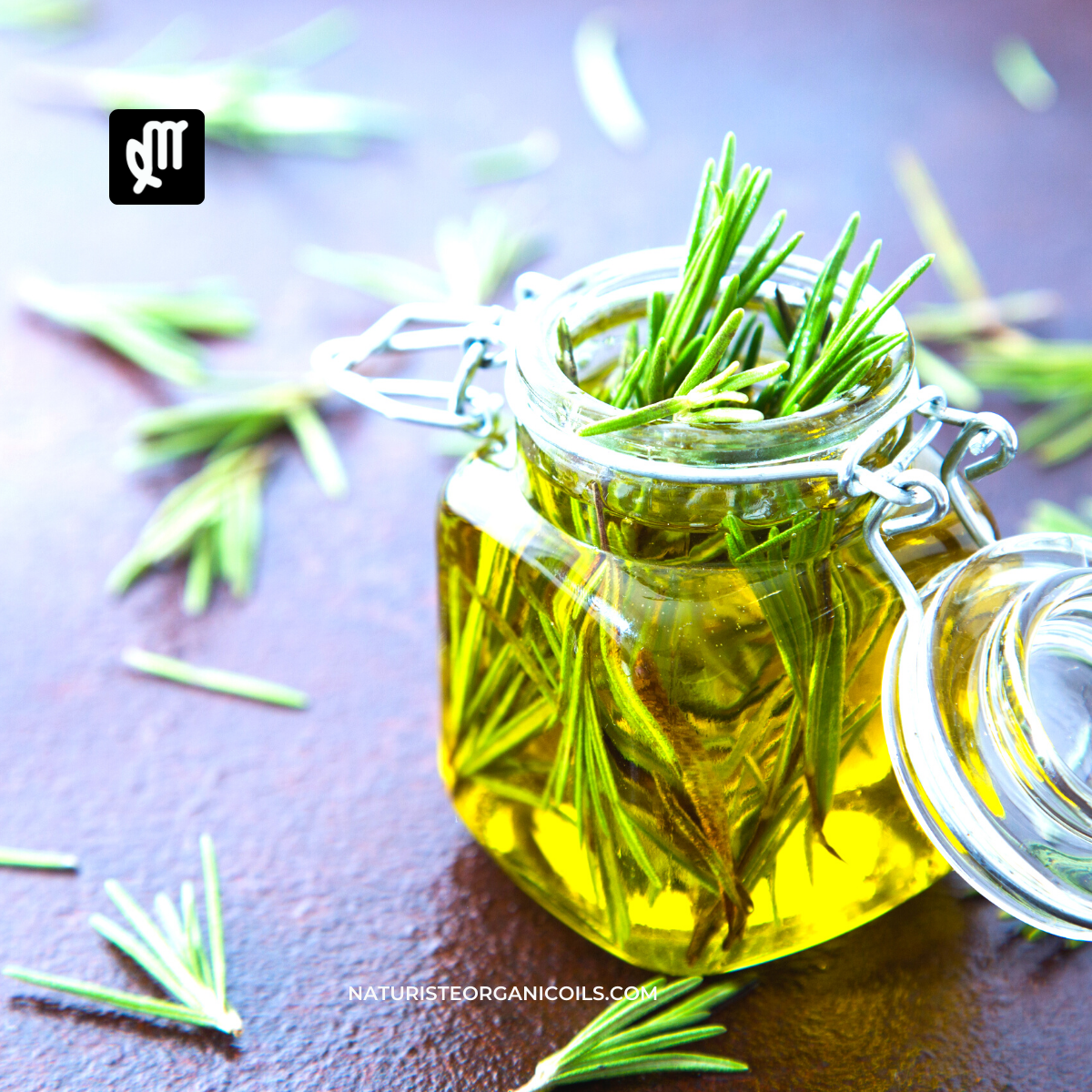 Rosemary: The Healing Herb for Optimal Hair Health