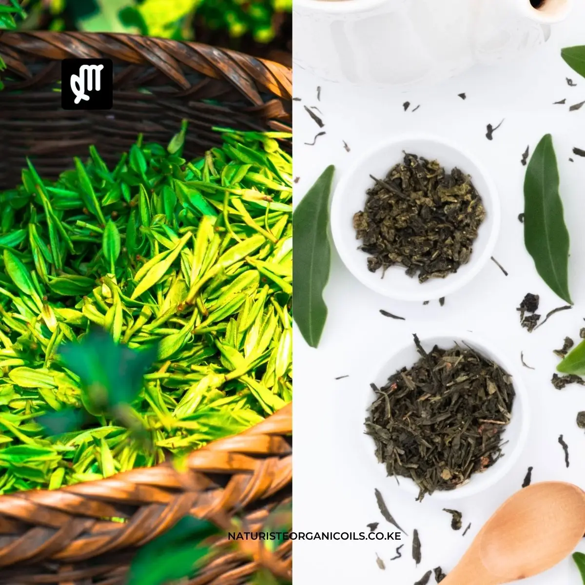 Green Tea for Hair Growth: Unlocking the Nutritional Powerhouse