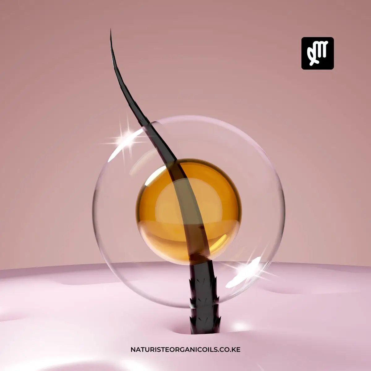 Why HAIR MANIFESTO is Your Best Scalp Oil for Hair Growth